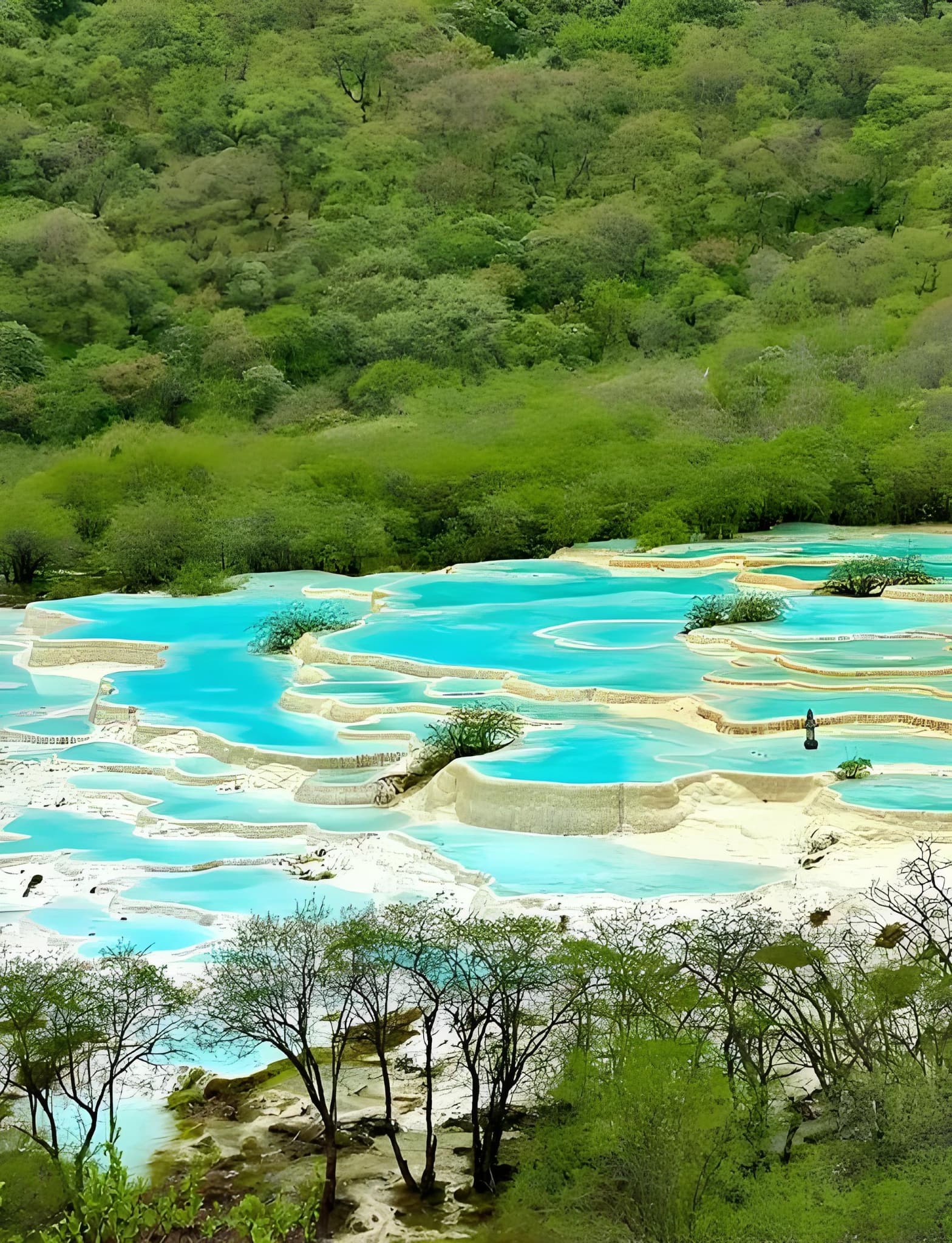 Huanglong's turquoise terraced pools surrounded by lush green forest