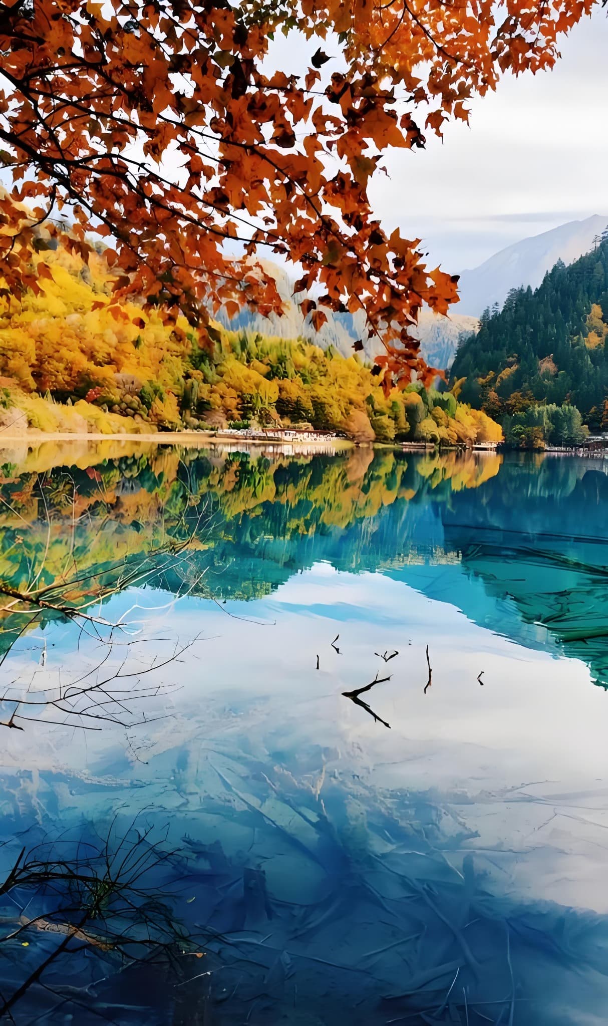 Golden autumn forest reflected in a clear blue Jiuzhaigou lake